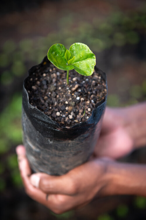 Story behind this product