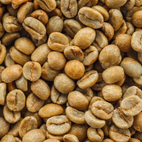 Green Panama Espresso (0.5 kg)