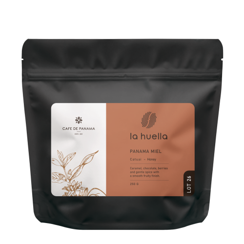 PANAMA MIEL