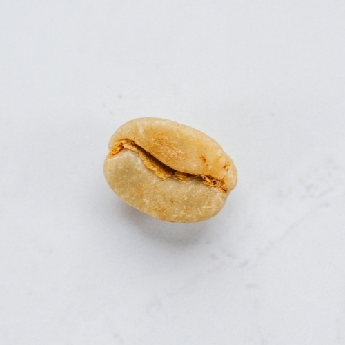 Green Panama Espresso (0.5 kg)