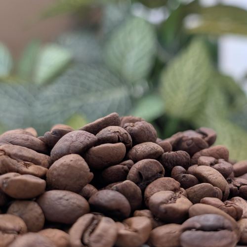 Panama Natural - šarže 23