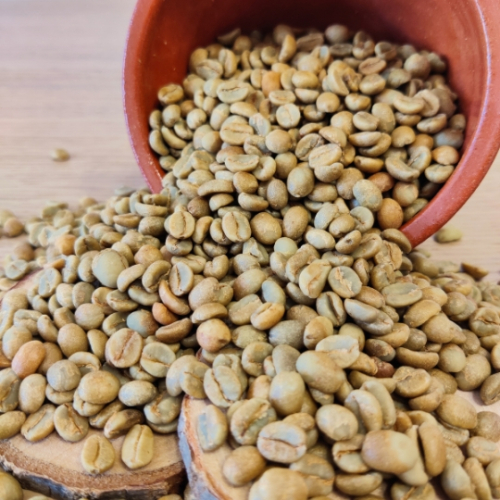 Green Panama Espresso (0.5 kg)