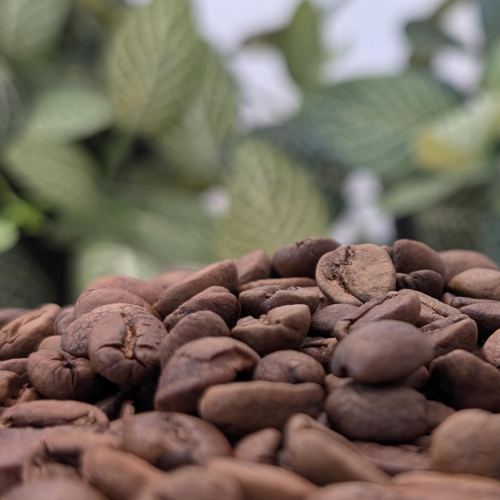 Panama Black Honey - šarže 20