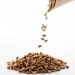 Panama Terroir vert