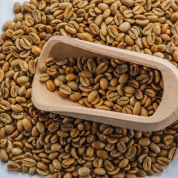 Green Panama Geisha (0,5 kg)