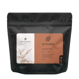 PANAMA MIEL