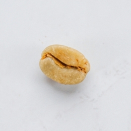 Green Panama Espresso (0,5 kg)