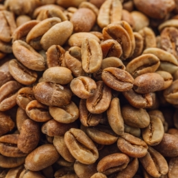 Green Panama Terroir lot 7e (0,5 kg)