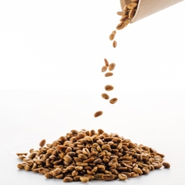 Green Panama Terroir lot 2 (0,5 kg)