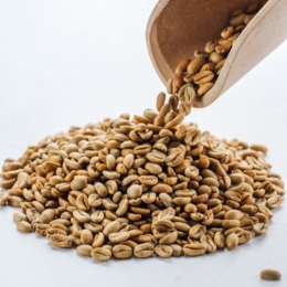 Green Panama Geisha N97 - lot 5 (0,5 kg)